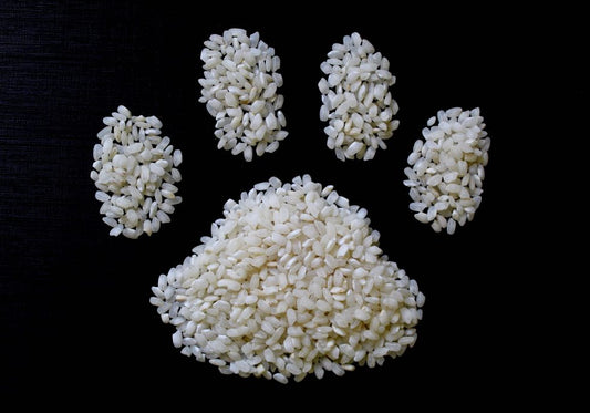cereales para perros