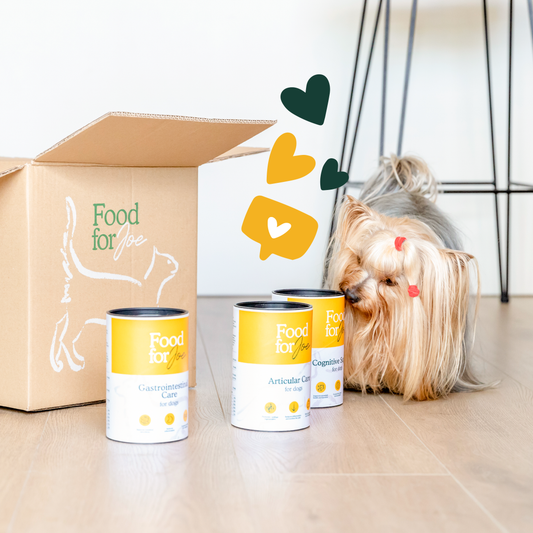 mejores suplementos para perros