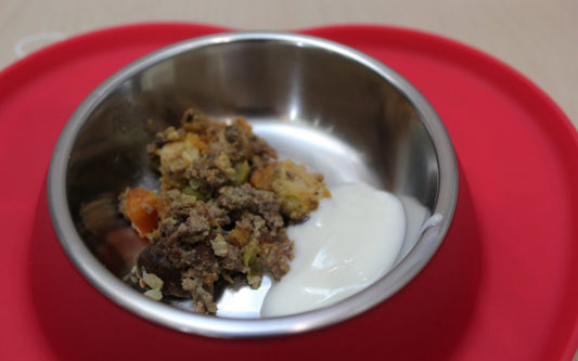 COMPLEMENTANDO LA DIETA DE NUESTROS PERROS