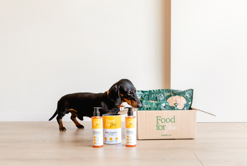 Espirulina BIO Food for Joe - Suplemento natural para cães e gatos