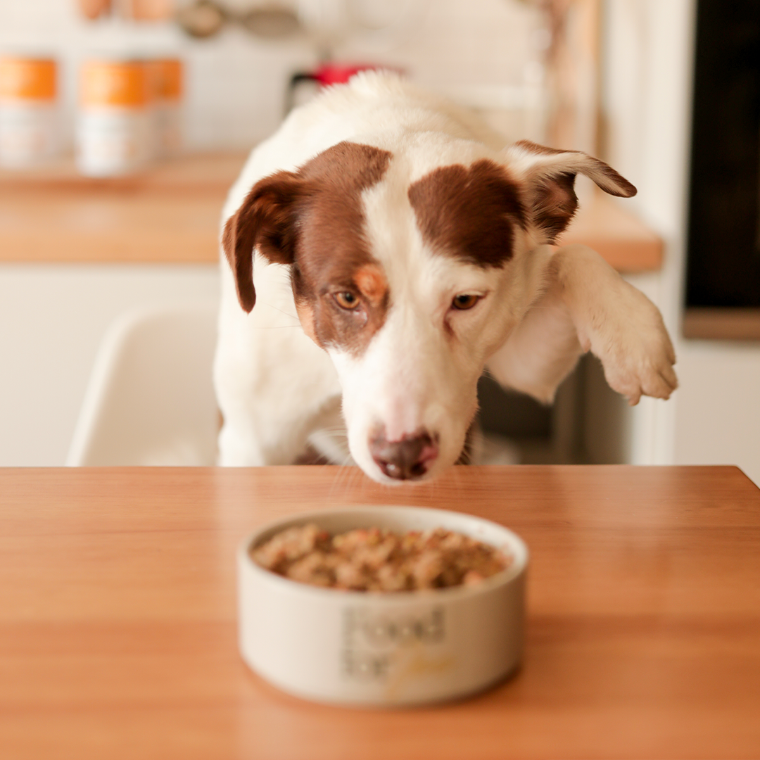 Roosterbooster - menú de pollo para perros 800g