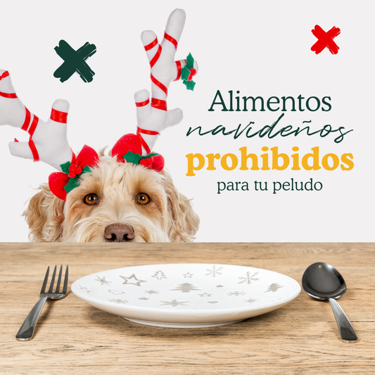 Alimentos navideños prohibidos para tu peludo