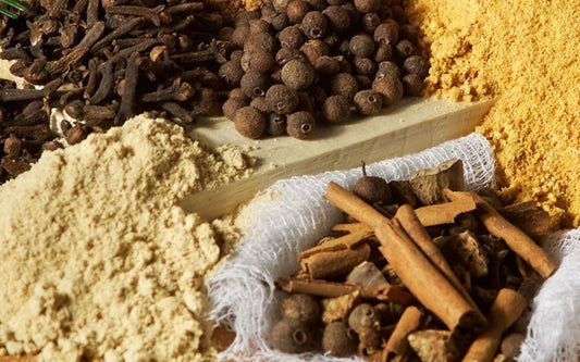 ALIMENTACIÓN CANINA: COMPLEMENTANDO SU DIETA