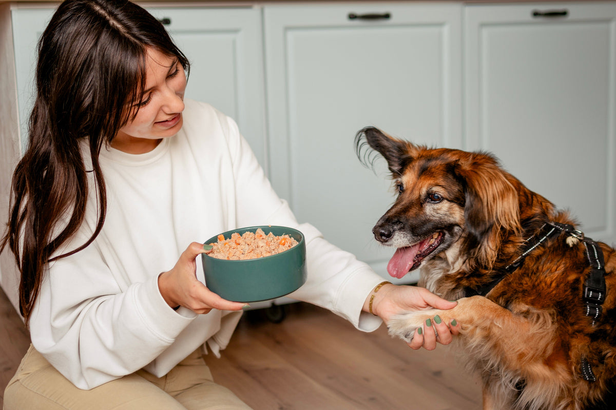 Diferencia entre Food for Joe y otras marcas de comida natural para perros y gatos