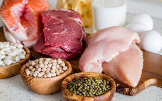 NUTRICIÓN CANINA: PROTEÍNAS