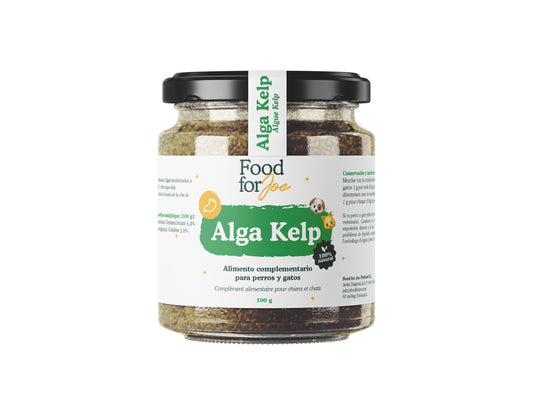 Alga Kelp em pó - Suplemento 100% natural para cães e gatos