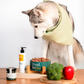 Óleo de Salmão - Suplemento 100% natural para cães e gatos