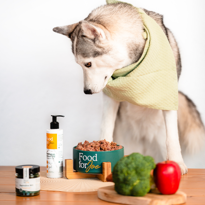 Óleo de Salmão - Suplemento 100% natural para cães e gatos
