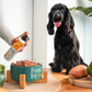Óleo de Salmão - Suplemento 100% natural para cães e gatos