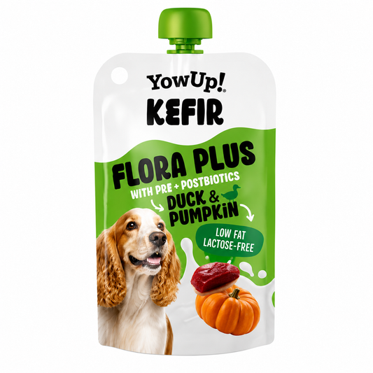 Kéfir para Cães de Pato & Abóbora | YowUp