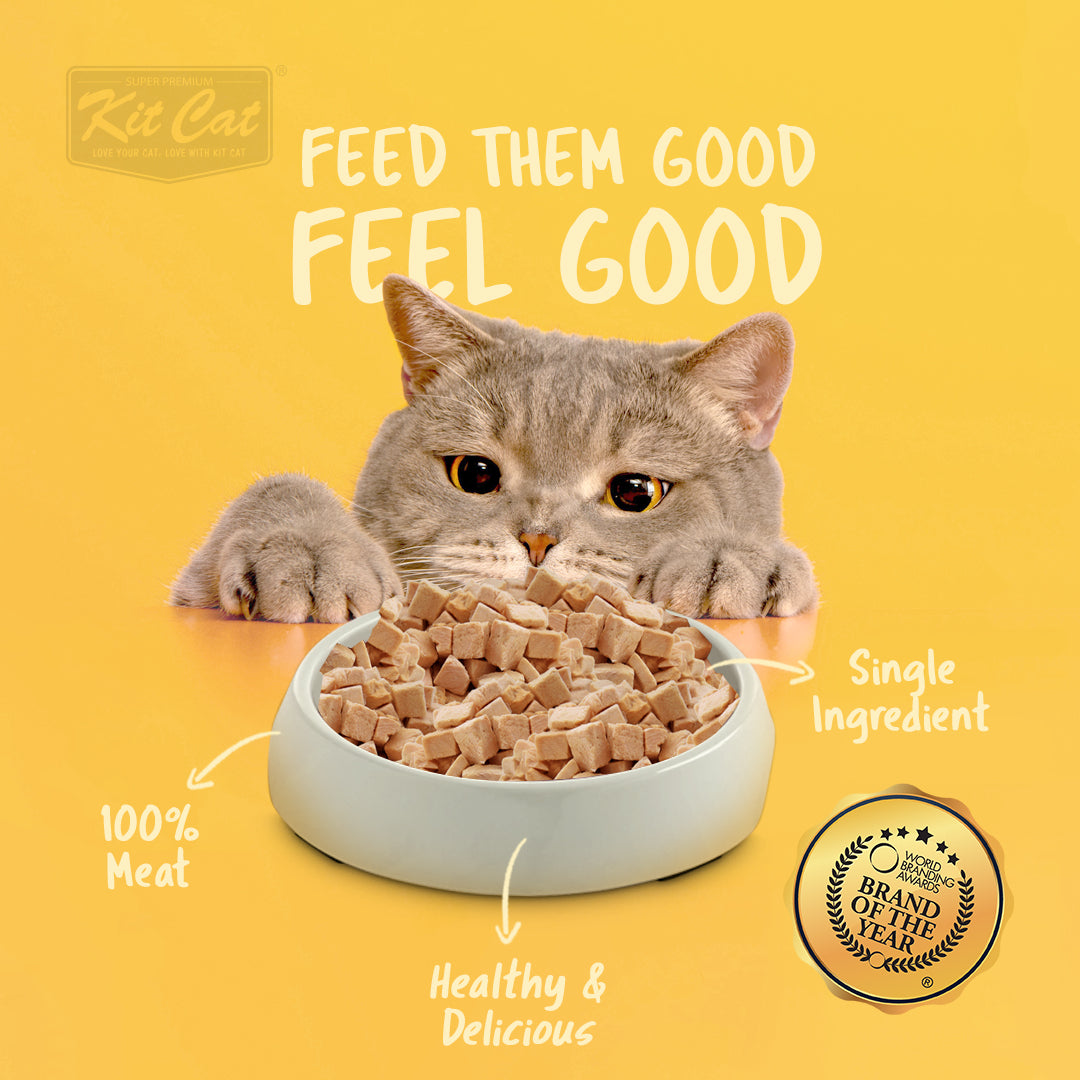FreezeBites Kit Cat  Pollo