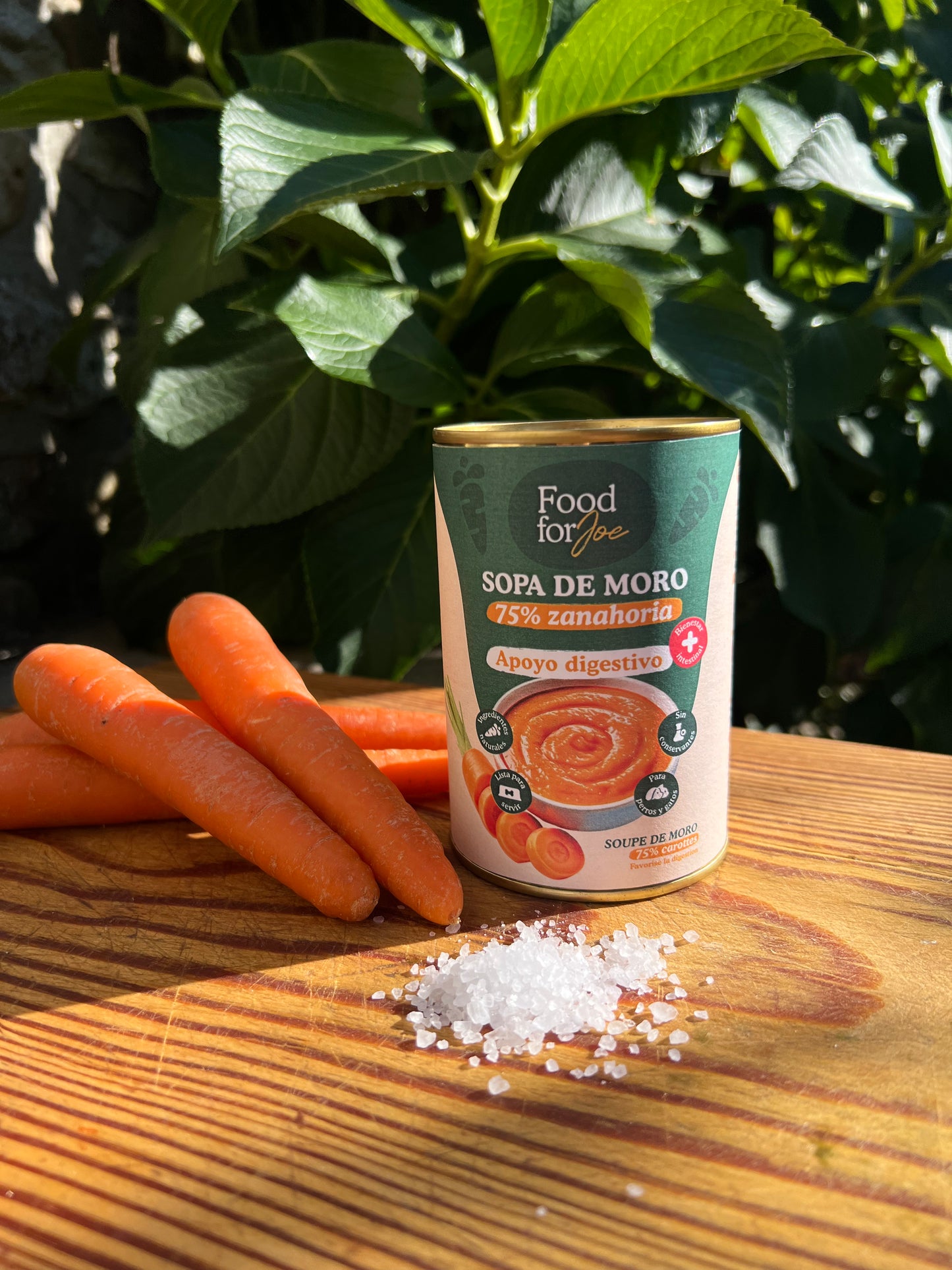 Sopa de cenoura (moro) - 75% cenoura - Apoio digestivo - 390g