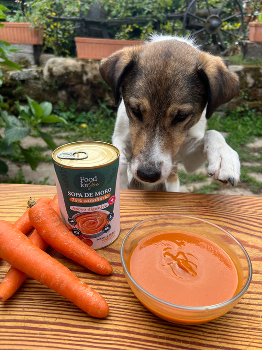 Sopa de cenoura (moro) - 75% cenoura - Apoio digestivo - 390g