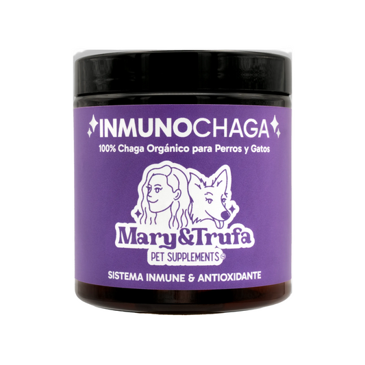 Pó de Cogumelo Chaga Orgânico | Mary&Trufa