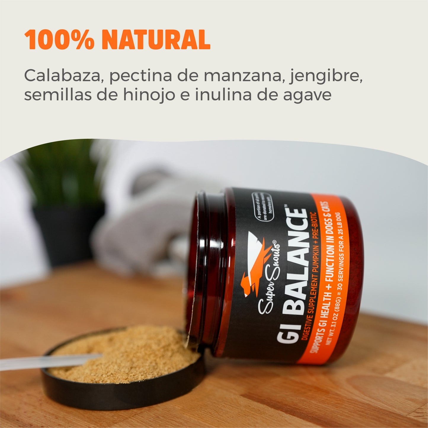 GI Balance Regulador Gastrointestinal - Stop Vómitos, Mareos y Reflujos