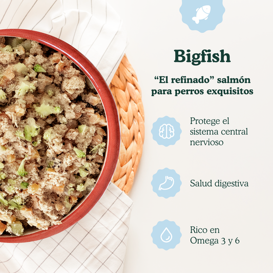 Bigfish - menu de peixe para cães 800g