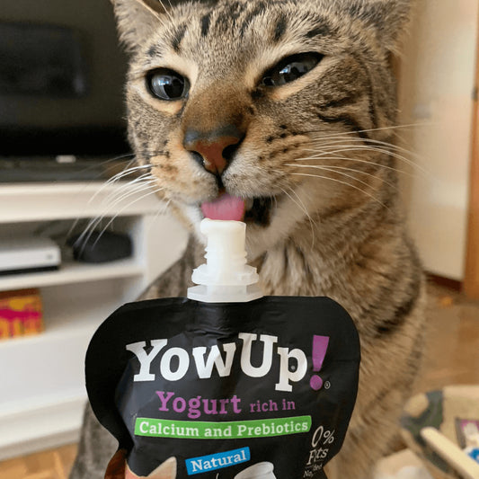 Yogur Natural para Gatos Yow Up con Calcio y Prebióticos