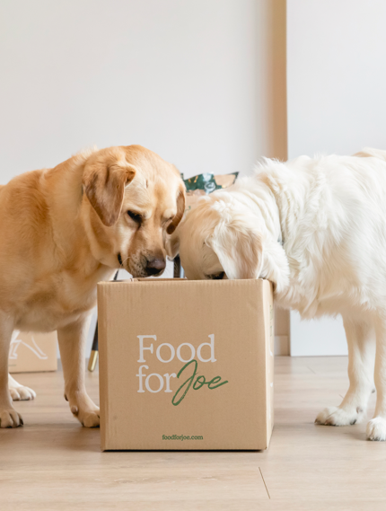 Cáscara de psyllium en polvo - Suplemento 100% natural para perros y gatos