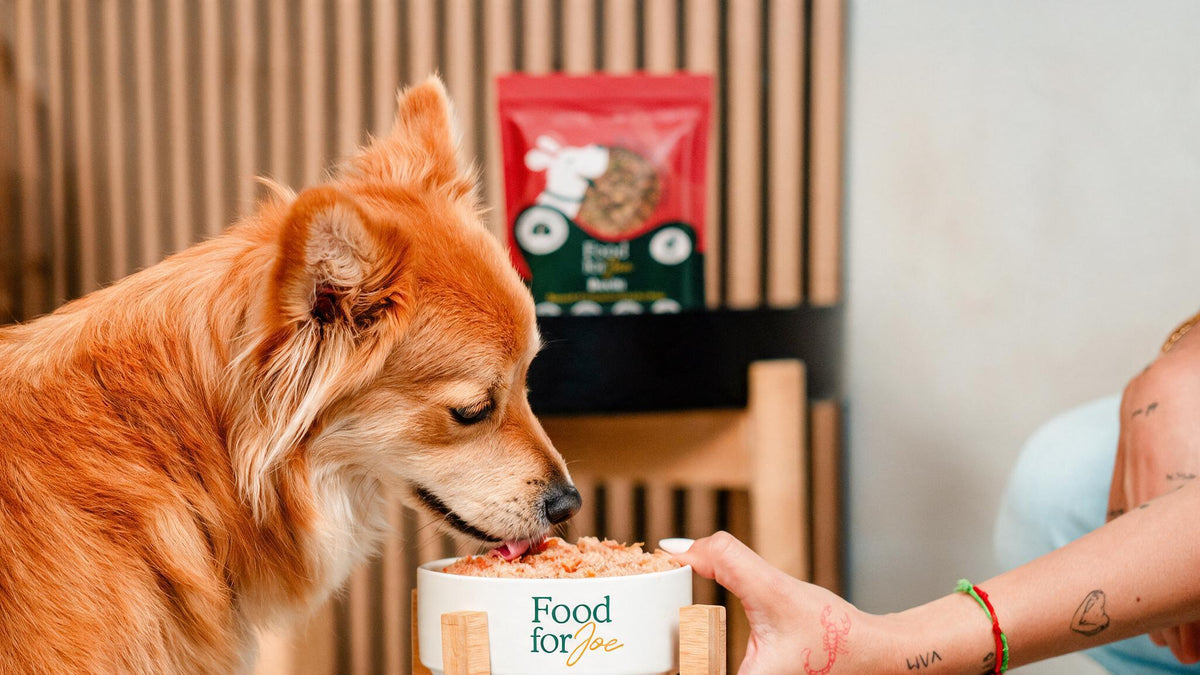 Beefit - menú de ternera para perros 200g