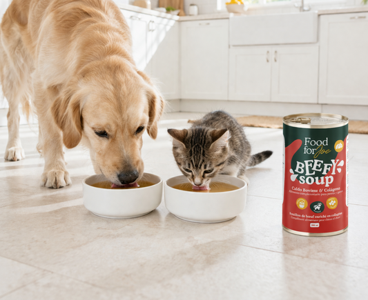 Beefy Soup - Caldo de carne para cães e gatos