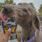 Yow Up yogur para perro con salmón - especial piel y pelo